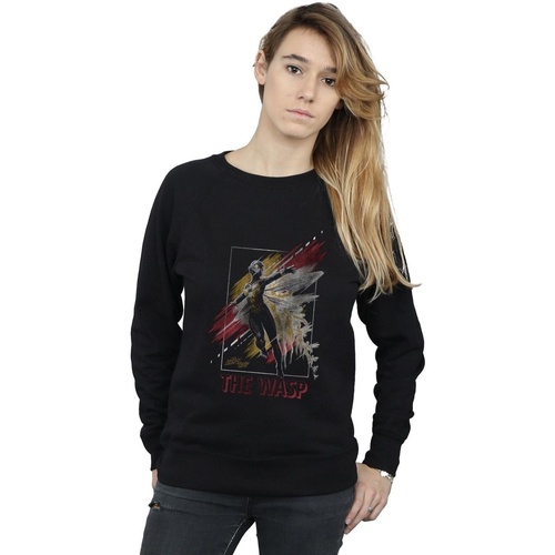 Vêtements Femme Sweats Marvel Ant-Man And The Wasp Framed Wasp Noir