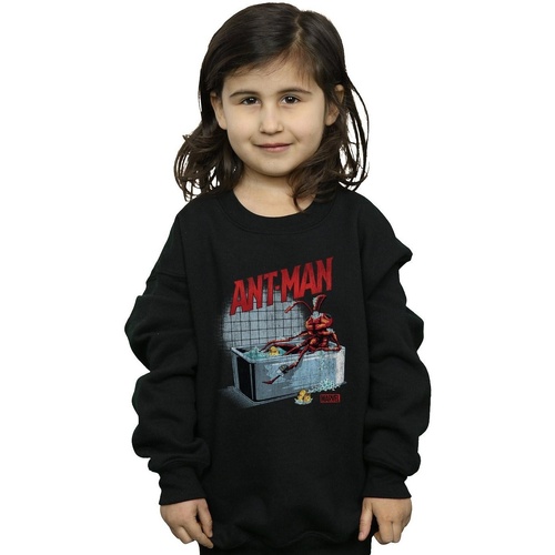 Vêtements Fille Sweats Marvel Ant-Man And The Wasp Bathing Ant Noir