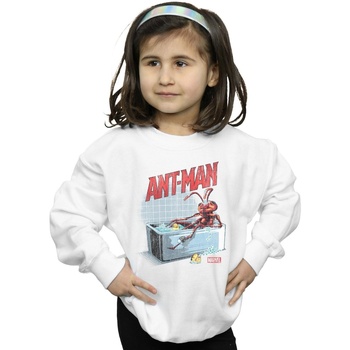 Vêtements Fille Sweats Marvel Ant-Man And The Wasp Bathing Ant Blanc