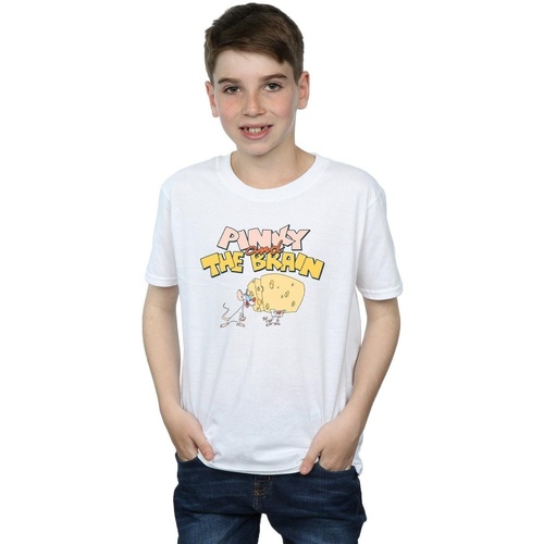 Vêtements Garçon T-shirts manches courtes Animaniacs Pinky And The Brain Cheese Head Blanc