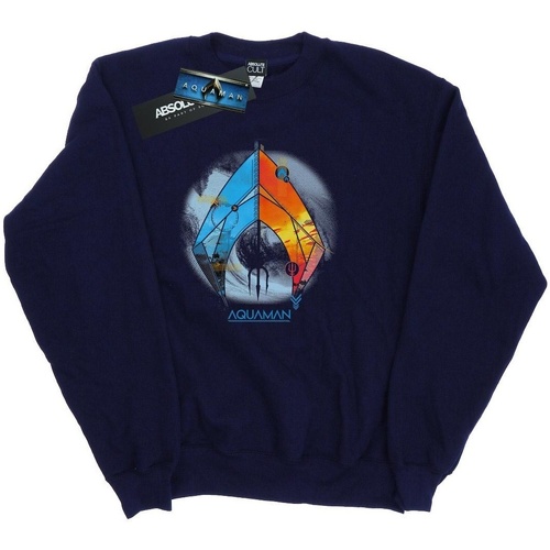 Vêtements Garçon Sweats Dc Comics Aquaman Tropical Logo Bleu