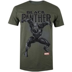 Vêtements Homme T-shirts manches courtes Marvel POMTS135 Vert