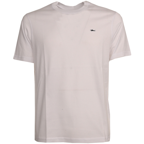 Vêtements Homme T-shirts manches courtes Lauren Ralph Lau c0p1092-10 Blanc