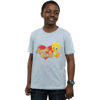 Vêtements Garçon T-shirts manches courtes Dessins Animés Tweety Pie Valentine's Day Love Bird Gris