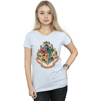Vêtements Femme T-shirts manches longues Harry Potter Hogwarts Crest Gold Ink Gris
