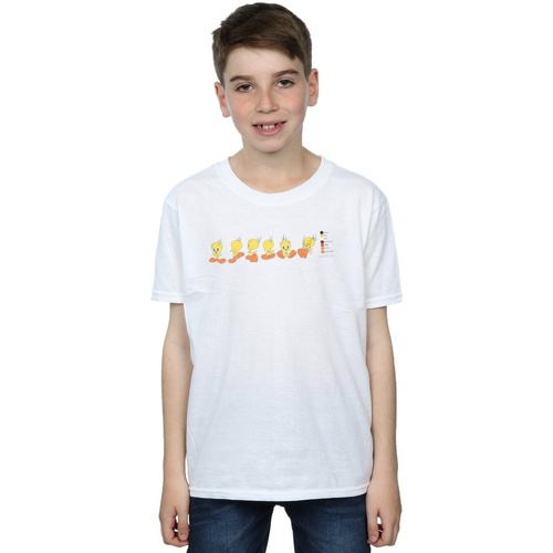 Vêtements Garçon T-shirts manches courtes Dessins Animés Tweety Pie Colour Code Blanc