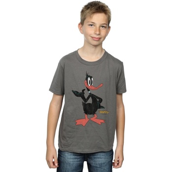 Vêtements Garçon T-shirts manches courtes Dessins Animés Daffy Duck Distressed Multicolore