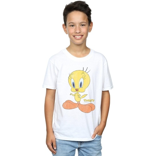 Vêtements Garçon T-shirts manches courtes Dessins Animés Tweety Pie Distressed Blanc