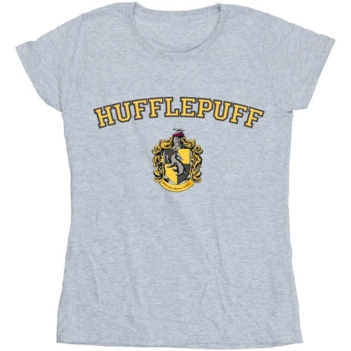 Vêtements Femme T-shirts manches longues Harry Potter Hufflepuff Crest Gris