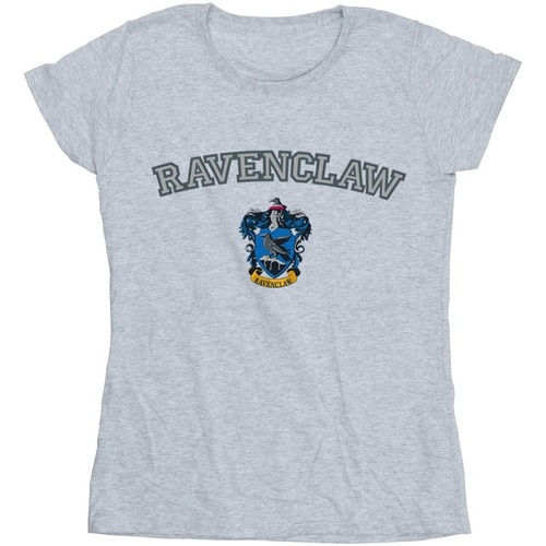 Vêtements Femme T-shirts manches longues Harry Potter Ravenclaw Crest Gris