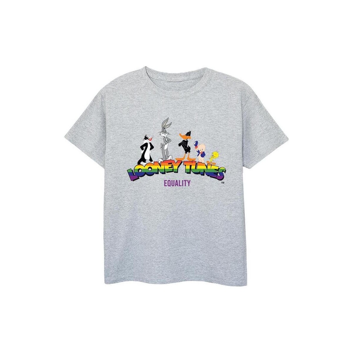 Vêtements Garçon T-shirts Fuld manches courtes Dessins Animés Pride Banner Gris