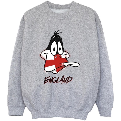 Vêtements Garçon Sweats Dessins Animés Daffy England Face Gris