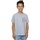 Vêtements Garçon T-shirts T-DIEGOR-K50 manches courtes Dessins Animés Bugs Bunny What Gris