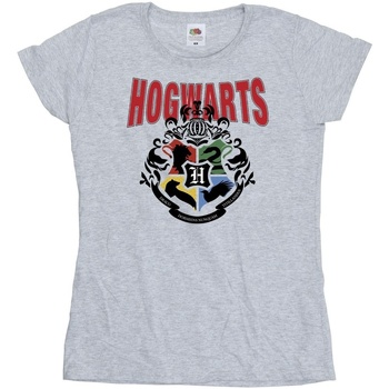 Vêtements Femme T-shirts manches longues Harry Potter Hogwarts Emblem Gris