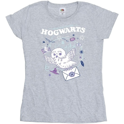 Vêtements Femme T-shirts manches longues Harry Potter Owl Letter From Hogwarts Gris