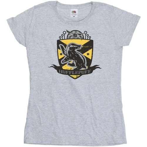 Vêtements Femme T-shirts manches longues Harry Potter Hufflepuff Chest Badge Gris