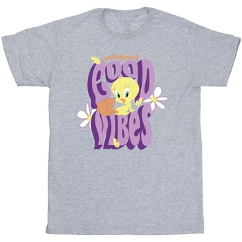Vêtements Garçon T-shirts manches courtes Dessins Animés Tweeday Sunshine & Good Vibes Gris