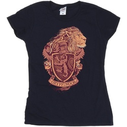 Vêtements Femme T-shirts manches longues Harry Potter Gryffindor Sketch Crest Bleu
