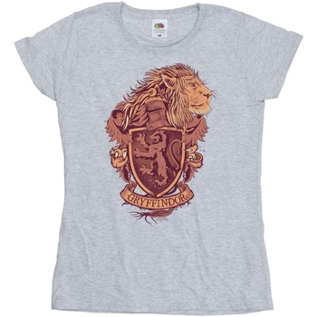 Vêtements Femme T-shirts manches longues Harry Potter Gryffindor Sketch Crest Gris