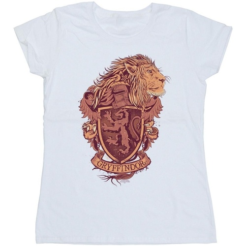 Vêtements Femme T-shirts manches longues Harry Potter Gryffindor Sketch Crest Blanc