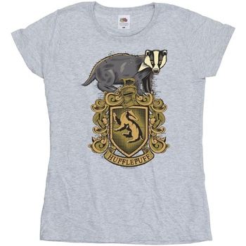 Vêtements Femme T-shirts manches longues Harry Potter Hufflepuff Sketch Crest Gris