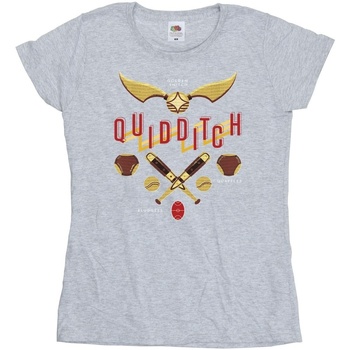 Vêtements Femme T-shirts manches longues Harry Potter Quidditch Golden Snitch Gris