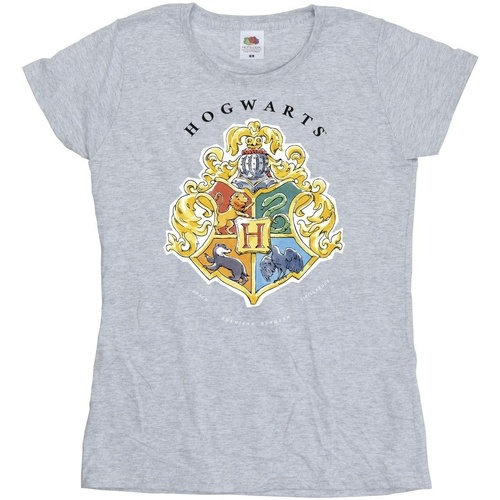 Vêtements Femme T-shirts manches longues Harry Potter Hogwarts School Emblem Gris