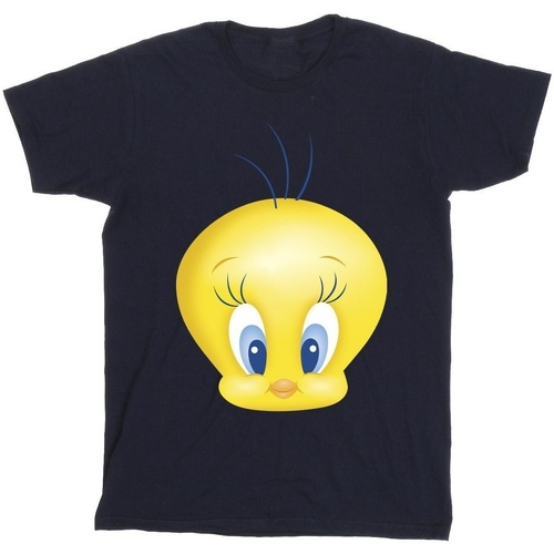 Vêtements Garçon T-shirts manches courtes Dessins Animés Tweety Face Bleu