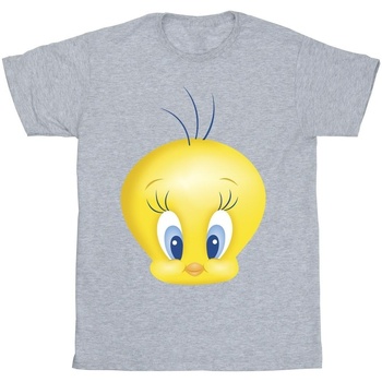 Vêtements Garçon T-shirts manches courtes Dessins Animés Tweety Face Gris