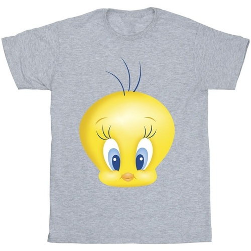 Vêtements Garçon T-shirts manches courtes Dessins Animés Tweety Face Gris