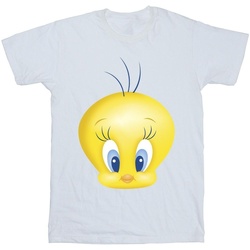 Vêtements Garçon T-shirts manches courtes Dessins Animés Tweety Face Blanc