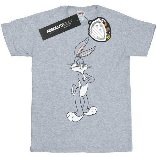 Vêtements Fille T-shirts manches longues Dessins Animés Bugs Bunny Crossed Arms Gris
