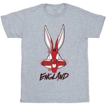 Vêtements Garçon T-shirts manches courtes Dessins Animés Bugs England Face Gris