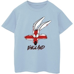 Vêtements Garçon T-shirts manches courtes Dessins Animés Coyote England Face Bleu