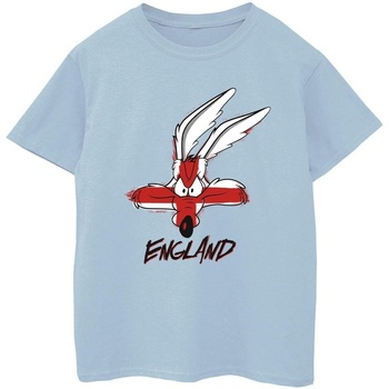 Vêtements Garçon T-shirts manches courtes Dessins Animés Coyote England Face Bleu