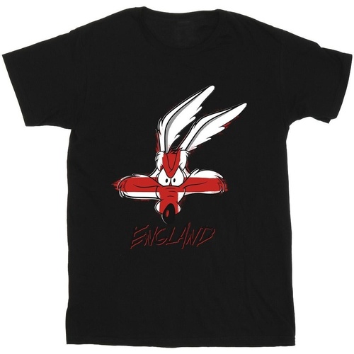 Vêtements Garçon T-shirts manches courtes Dessins Animés Coyote England Face Noir