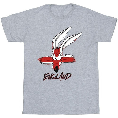 Vêtements Garçon T-shirts manches courtes Dessins Animés Coyote England Face Gris