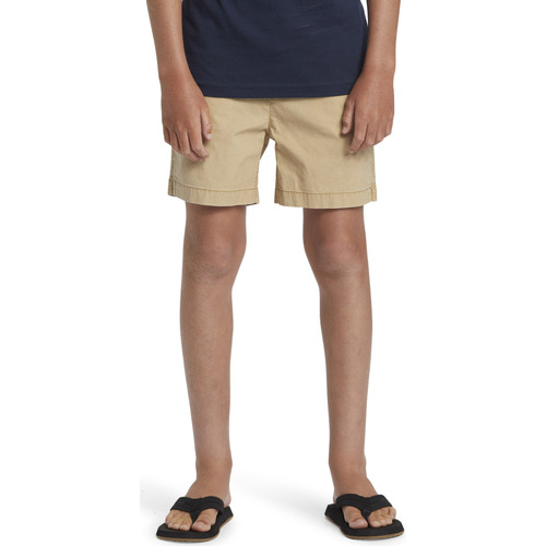 Vêtements Garçon canal Shorts / Bermudas Quiksilver Taxer Marron