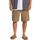Vêtements Homme Shorts / Bermudas Quiksilver Carpenter Beige