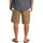 Vêtements Homme Shorts / Bermudas Quiksilver Carpenter Beige
