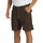 Vêtements Homme Shorts / Bermudas Quiksilver Surf Fatigue Cord Marron