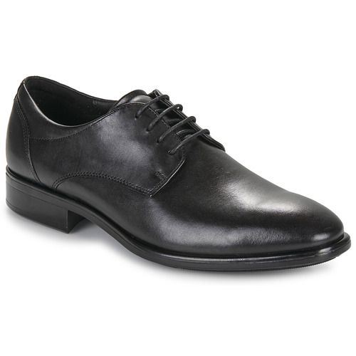Chaussures Homme Derbies Boots Ecco  Noir