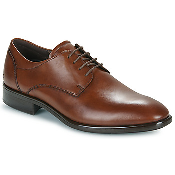 Chaussures Homme Derbies Ecco crepetray Marron