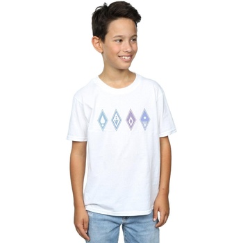 Vêtements Garçon T-shirts manches courtes Disney Frozen 2 Elements Symbols Blanc