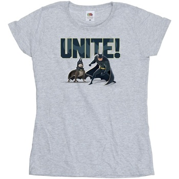 Vêtements Femme T-shirts manches longues Dc Comics DC League Of Super-Pets Unite Pair Gris