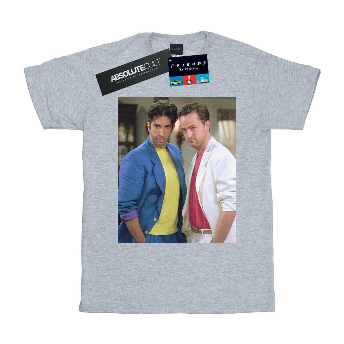 Vêtements Fille T-shirts manches longues Friends 80's Ross And Chandler Gris