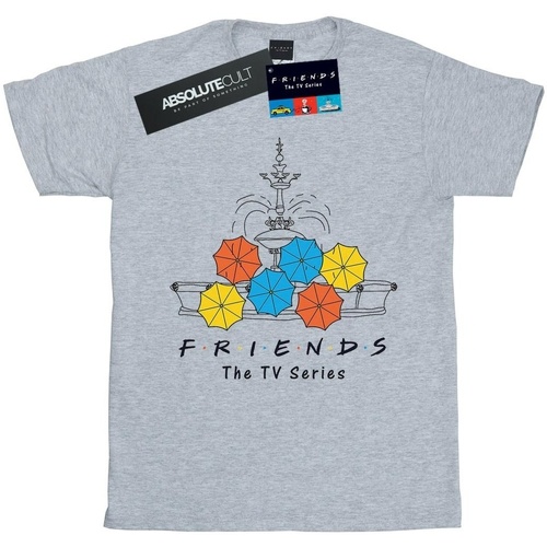 Vêtements Fille T-shirts manches longues Friends Fountain And Umbrellas Gris