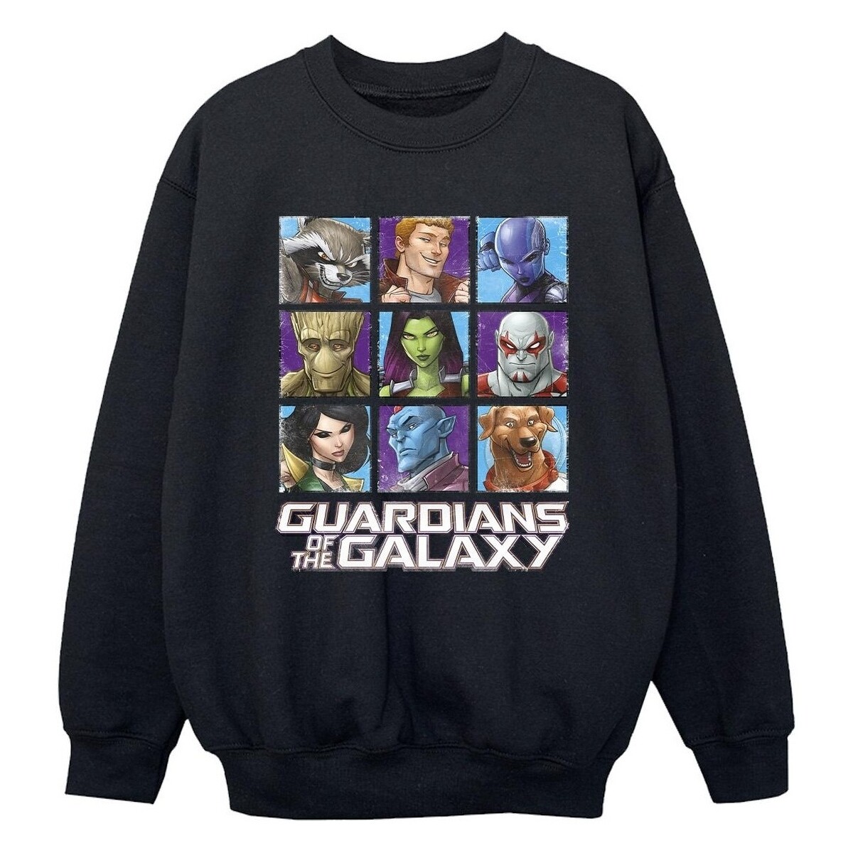 Vêtements Garçon Sweats Guardians Of The Galaxy Character Squares Noir