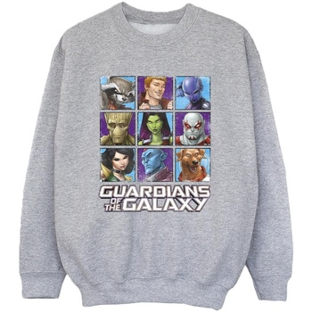 Vêtements Garçon Sweats Guardians Of The Galaxy Character Squares Gris