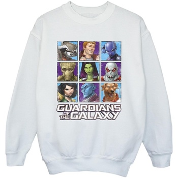 Vêtements Garçon Sweats Guardians Of The Galaxy Character Squares Blanc